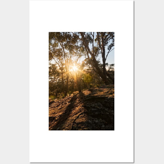 Sunrise on Blackwall Mountain on NSW Central Coast Wall Art by Geoff79